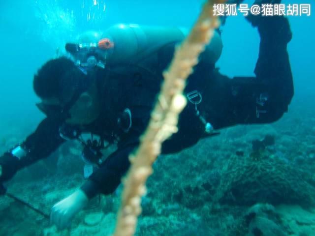 多款进口桂格麦片遭下架，食用或引起发烧腹泻